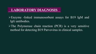 Parvovirus B19 Infection Workup: Laboratory Studies, Imaging.